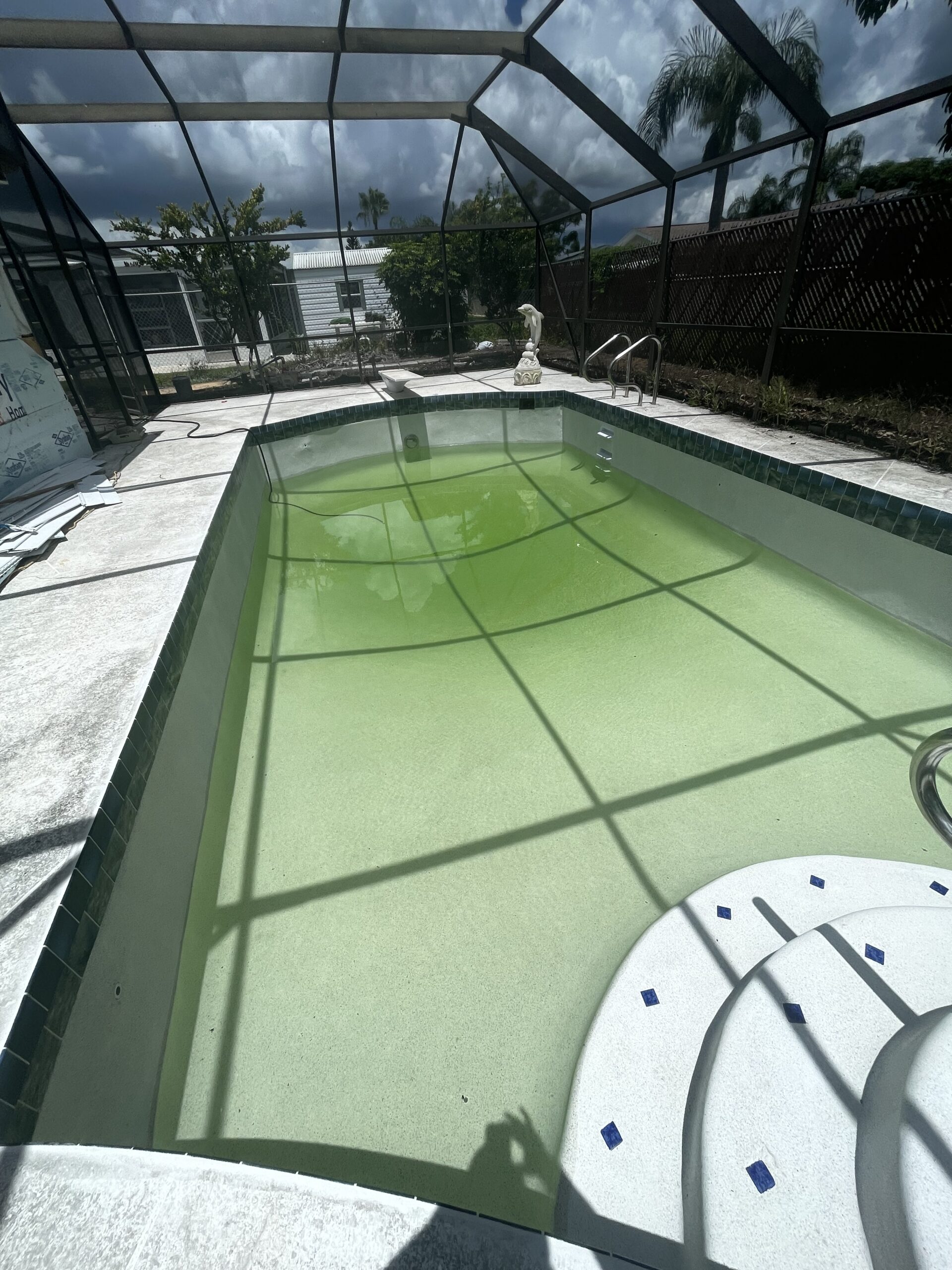 A pool filled with green water, surrounded by a patio and lush greenery